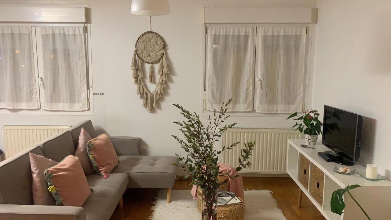 Apartamento Con Encanto Y Mucha Luz فِيافيثيوسّا المظهر الخارجي الصورة